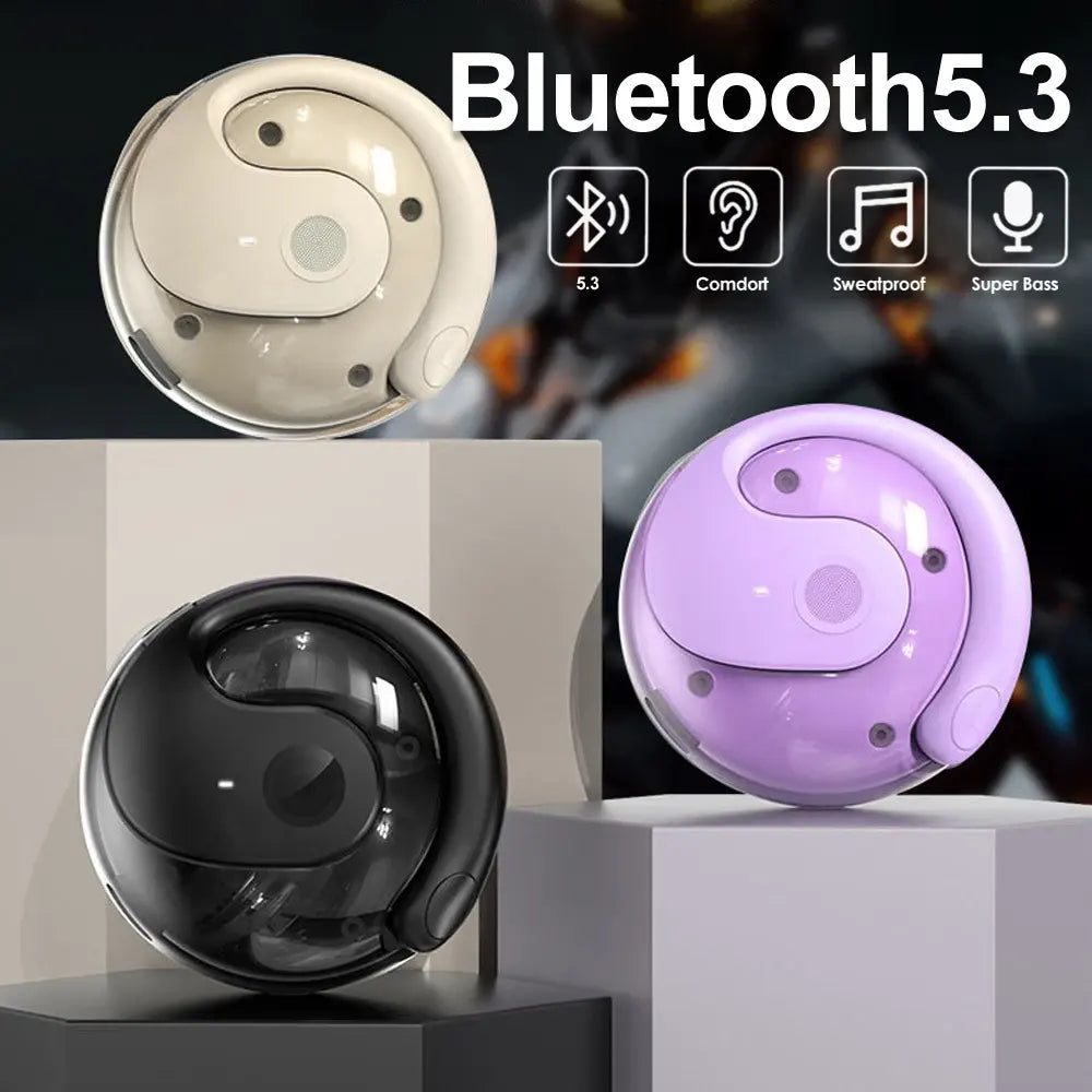 outdoor sport dustproof Noise reduction wireless bluetooth 5.3 comfort earhook earbuds earphones