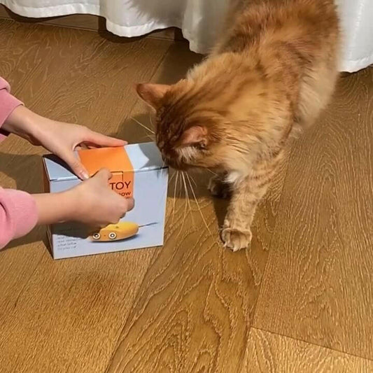 Electric Cat Interactive Laser Toy – Automatic Steering Pet-Safe - GoTypical