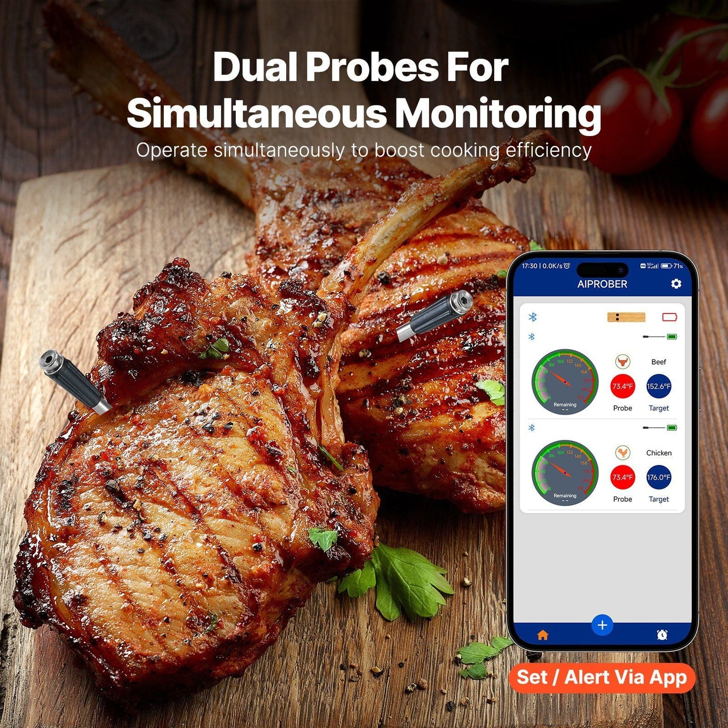 VEVOR Wireless Meat Thermometer Bluetooth Meat Probe Two Probes for Cooking - GoTypical