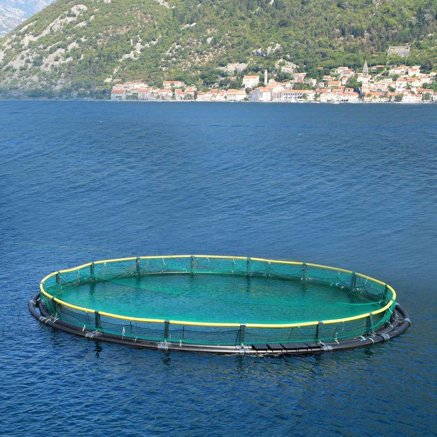 . Garden Netting – Heavy Duty PE Anti-Bird Net 13x33ft - GoTypical