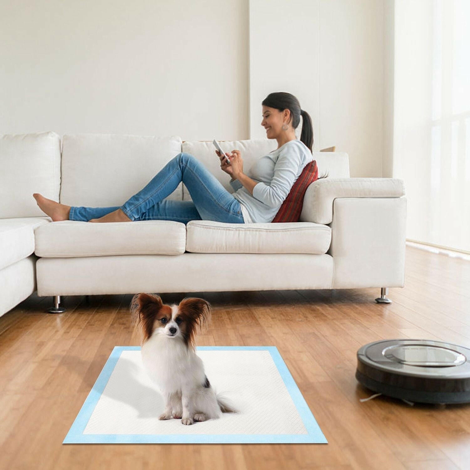 . Dog Training Pads – 50pcs Super-Absorbent 24x18in Puppy Pee Pads - GoTypical