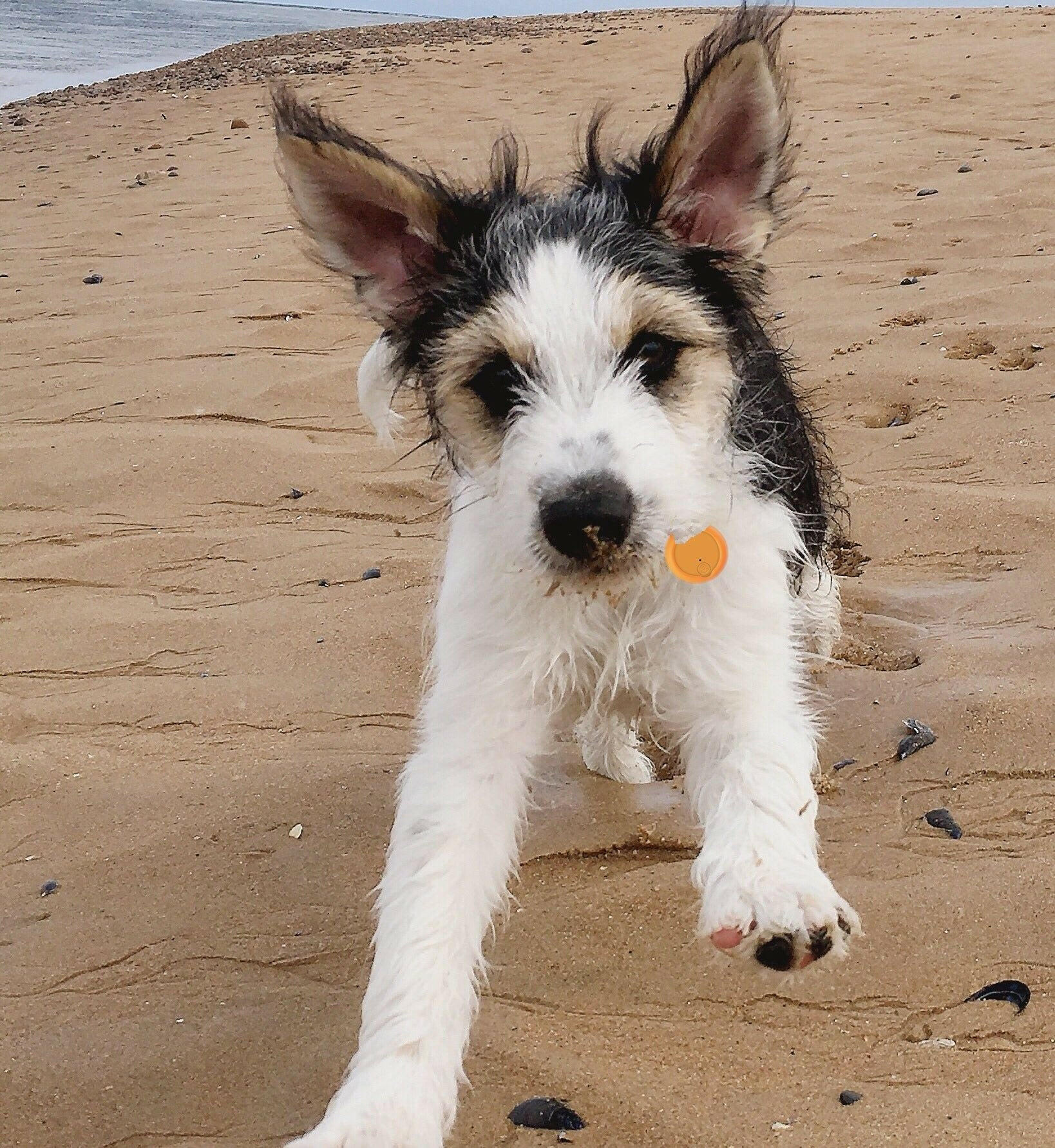 . Anti Lost Device 2 Pack – Silicon Key Finder with LED Light - GoTypical