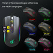 . Gaming Mouse – RGB Lighting Wired Esports Mouse - GoTypical
