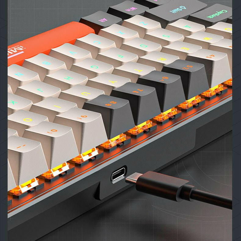 . Mechanical Keyboard 68 Keys Type-C Wired Blue Switch - GoTypical