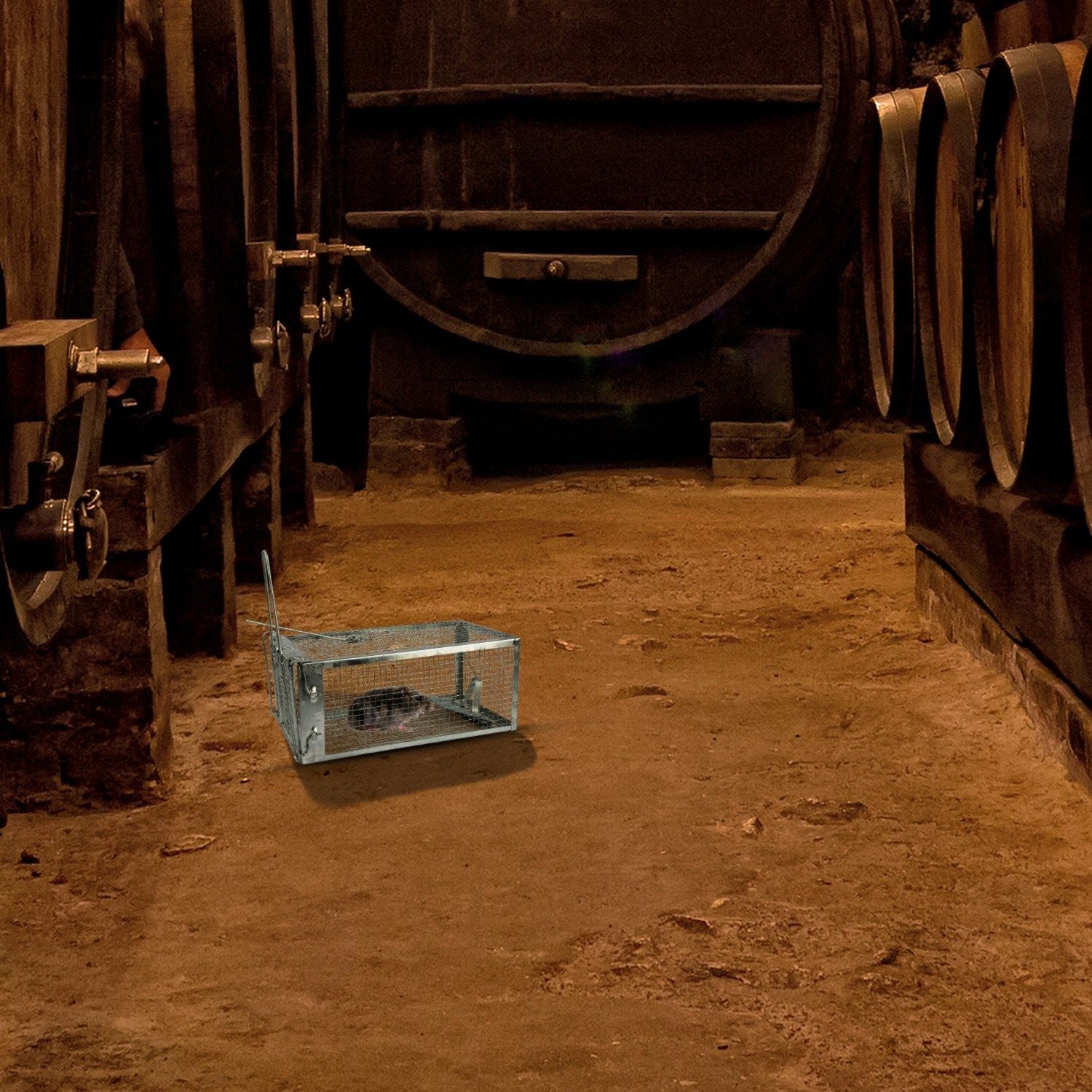 Rat Trap Cage Humane Live Rodent Trap Cage Mouse Control Bait Catch - GoTypical