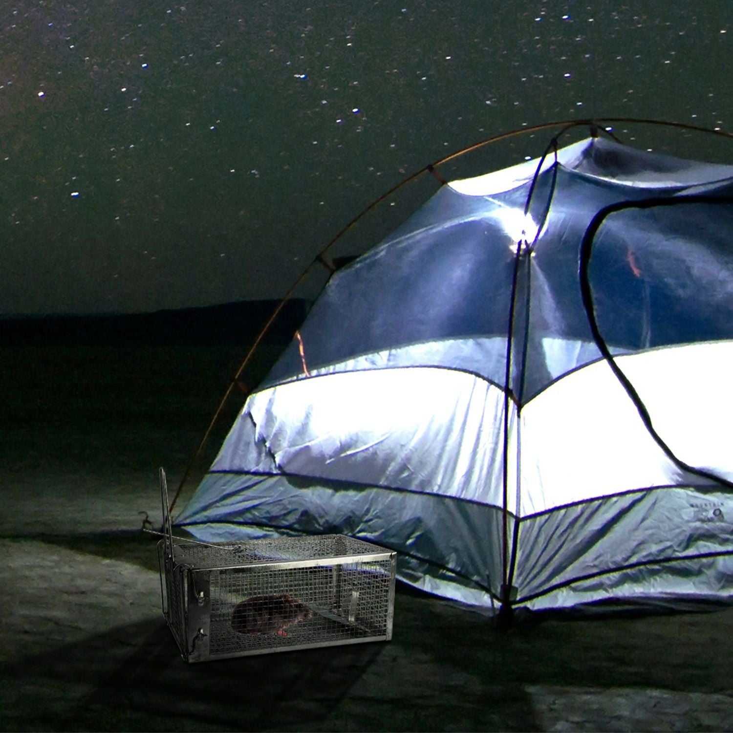 Rat Trap Cage Humane Live Rodent Trap Cage Mouse Control Bait Catch - GoTypical