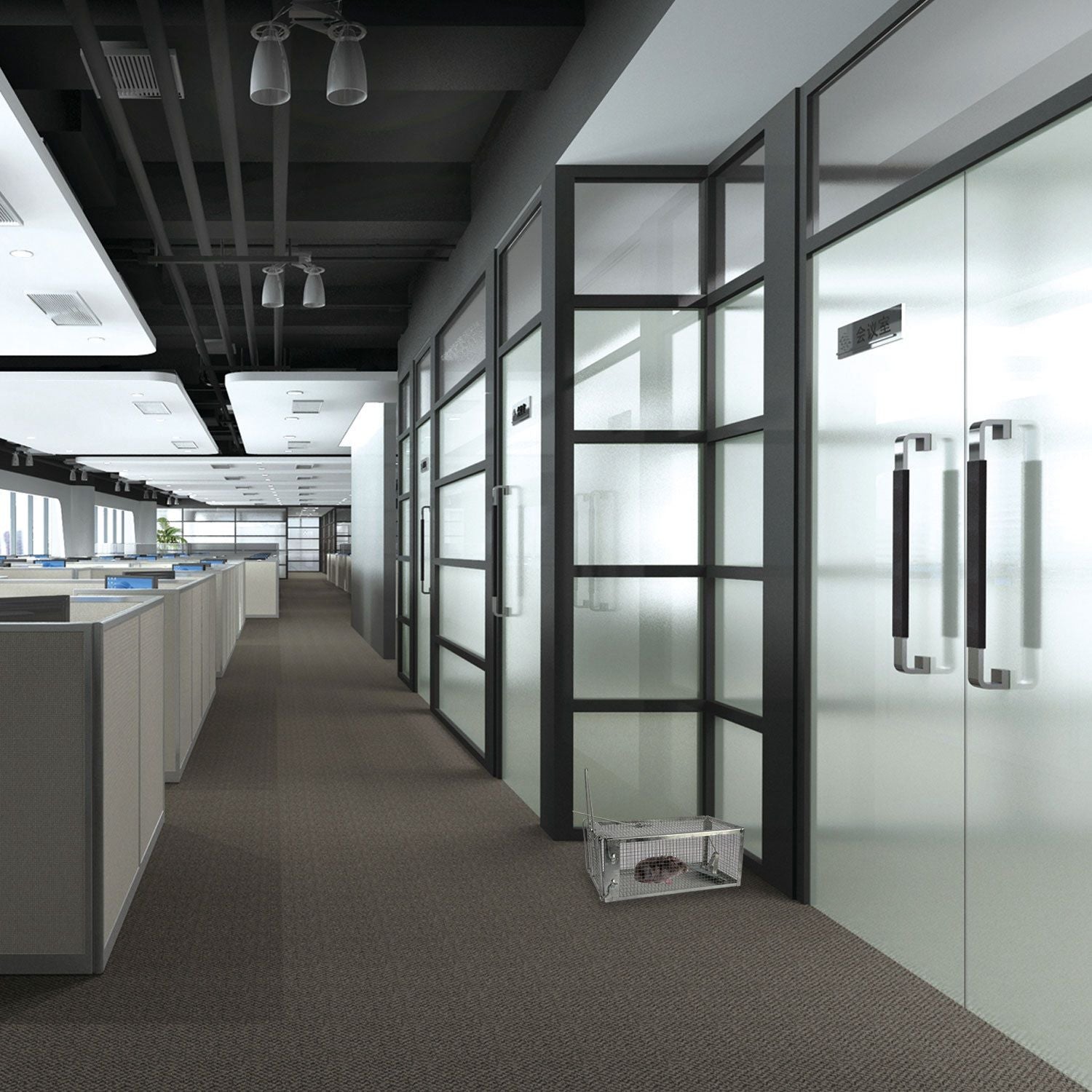 Rat Trap Cage Humane Live Rodent Trap Cage Mouse Control Bait Catch - GoTypical