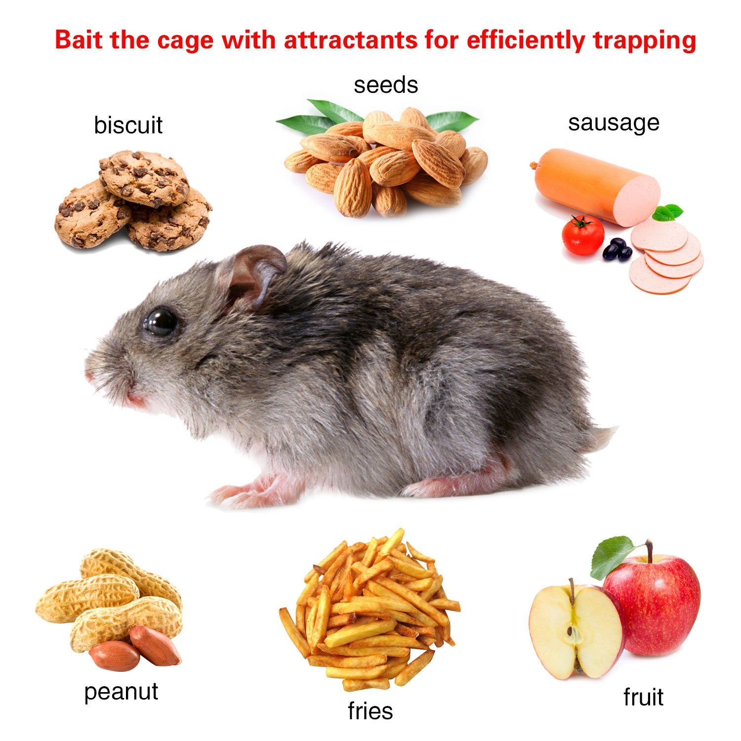 Rat Trap Cage Humane Live Rodent Trap Cage Mouse Control Bait Catch - GoTypical