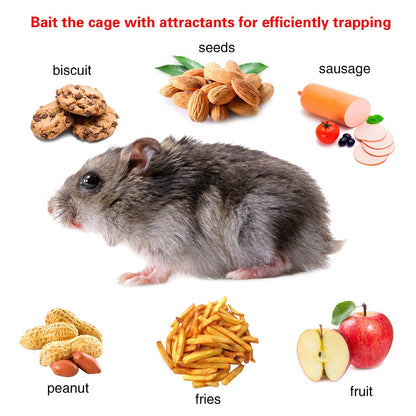 Rat Trap Cage Humane Live Rodent Trap Cage Mouse Control Bait Catch - GoTypical