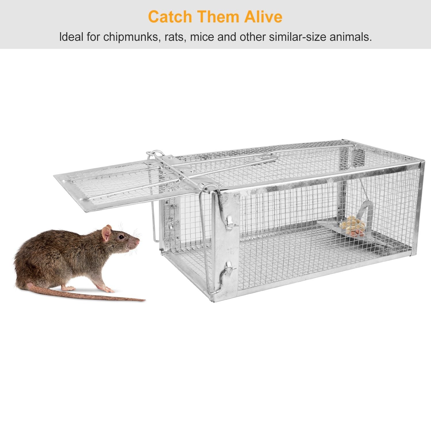 Rat Trap Cage Humane Live Rodent Trap Cage Mouse Control Bait Catch - GoTypical