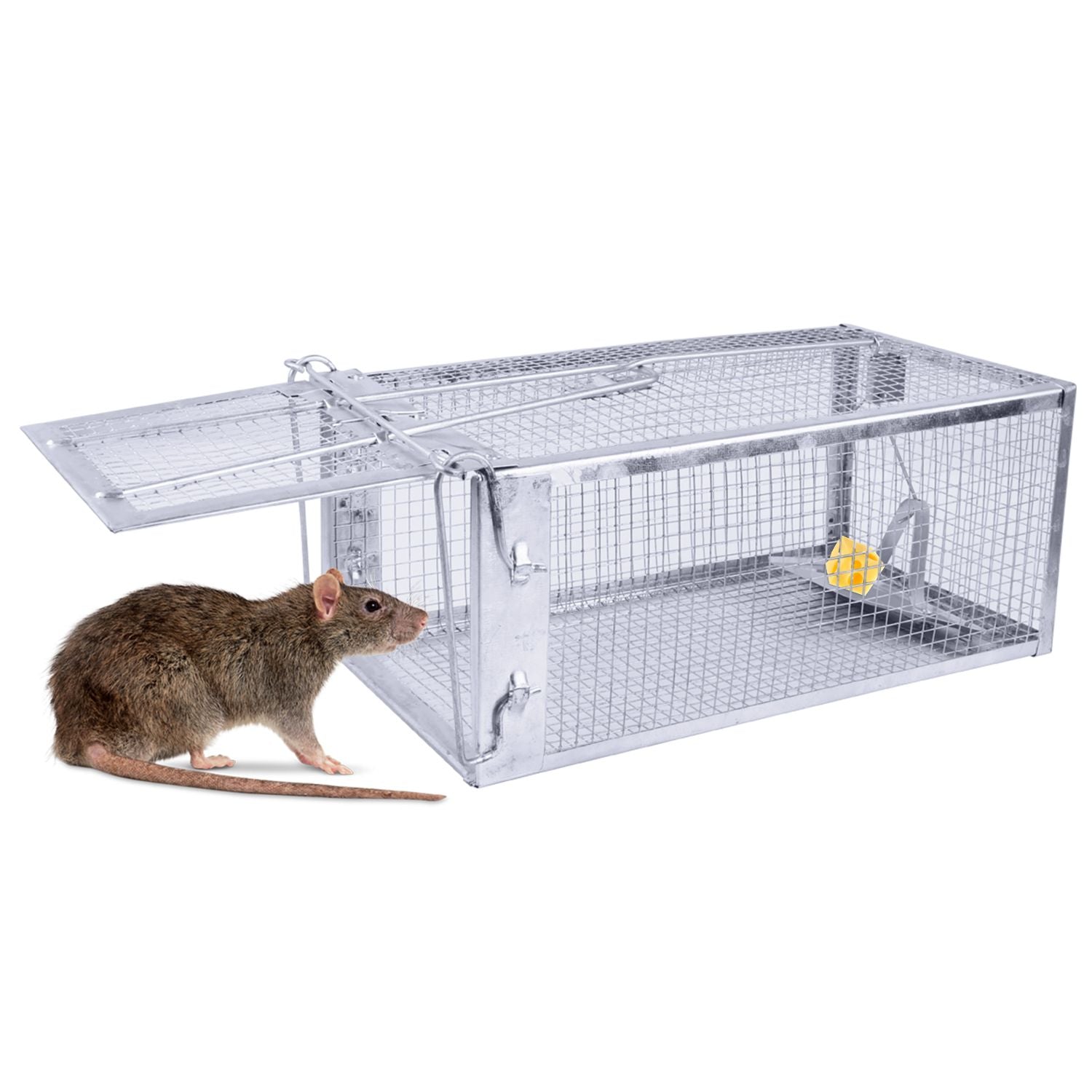 Rat Trap Cage Humane Live Rodent Trap Cage Mouse Control Bait Catch - GoTypical