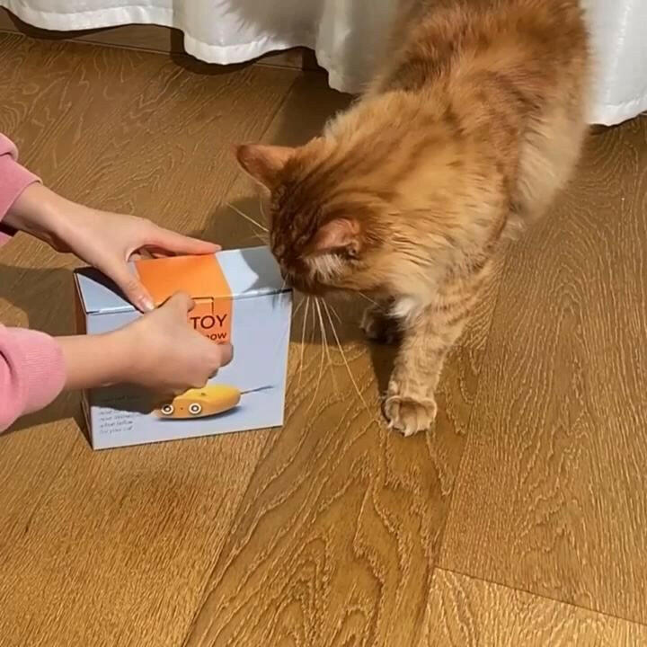 Electric Cat Interactive Laser Toy – Automatic Steering Pet-Safe - GoTypical