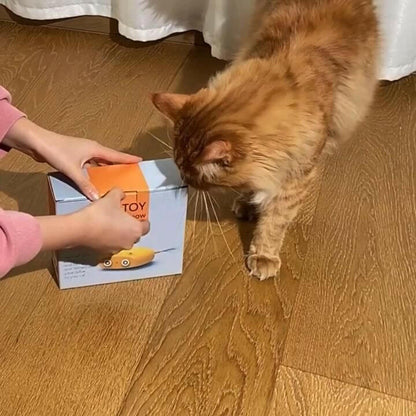 Electric Cat Interactive Laser Toy – Automatic Steering Pet-Safe - GoTypical