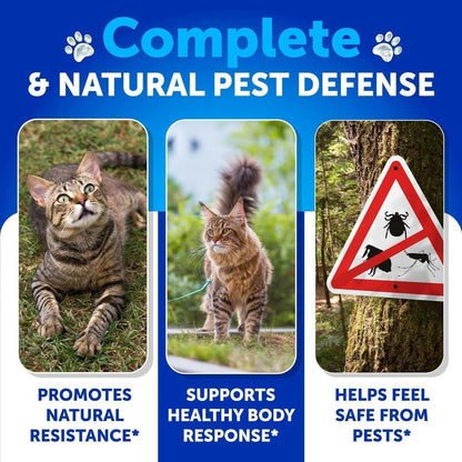 Cat Chewable Supplement – Natural Flea & Tick Prevention with Skin Support - GoTypical