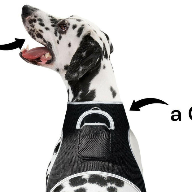 . GPS Pet Transmitter – Waterproof Mini Tracker Size L for Large Dogs - GoTypical