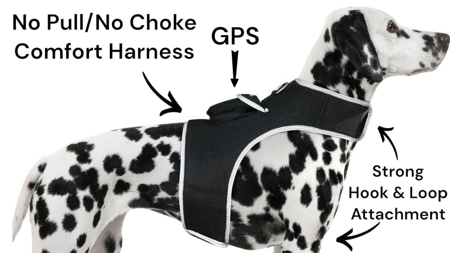 . GPS Pet Transmitter – Waterproof Mini Tracker Size L for Large Dogs - GoTypical