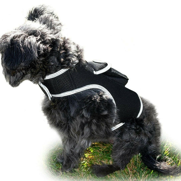 . GPS Pet Tracker – Waterproof Mini Location Device Size M - GoTypical