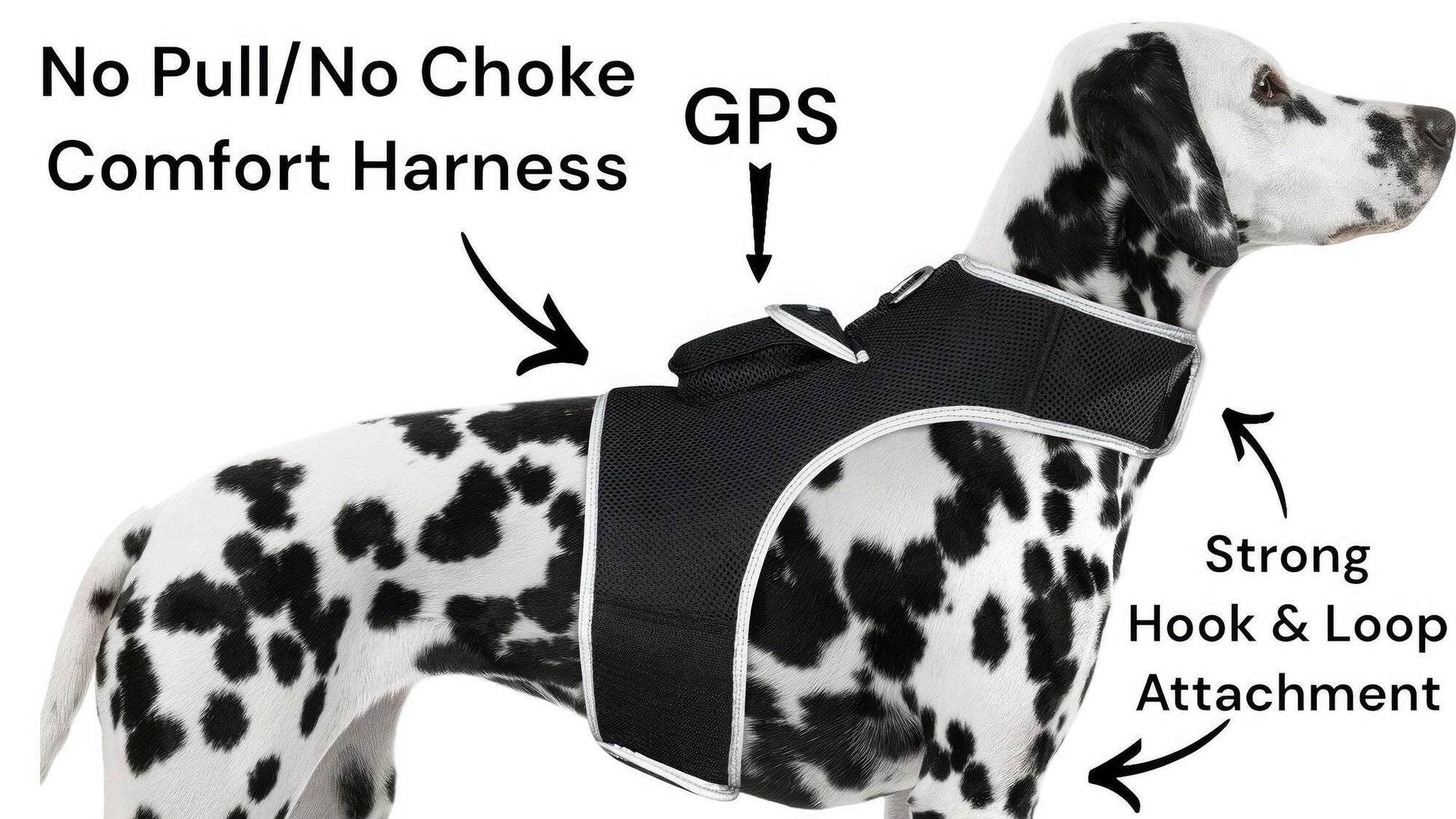 . GPS Pet Tracker – Waterproof Mini Location Device Size M - GoTypical