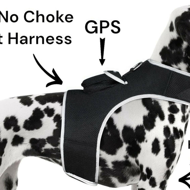 . GPS Pet Tracker – Waterproof Mini Location Device Size M - GoTypical