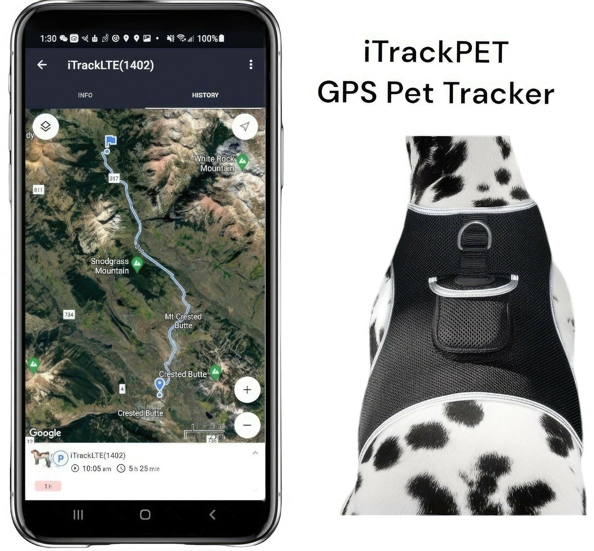 GPS Pet Transmitter Waterproof Mini Tracker Size S – . - GoTypical