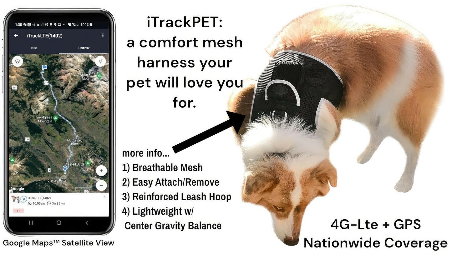 GPS Pet Transmitter Waterproof Mini Tracker Size S – . - GoTypical