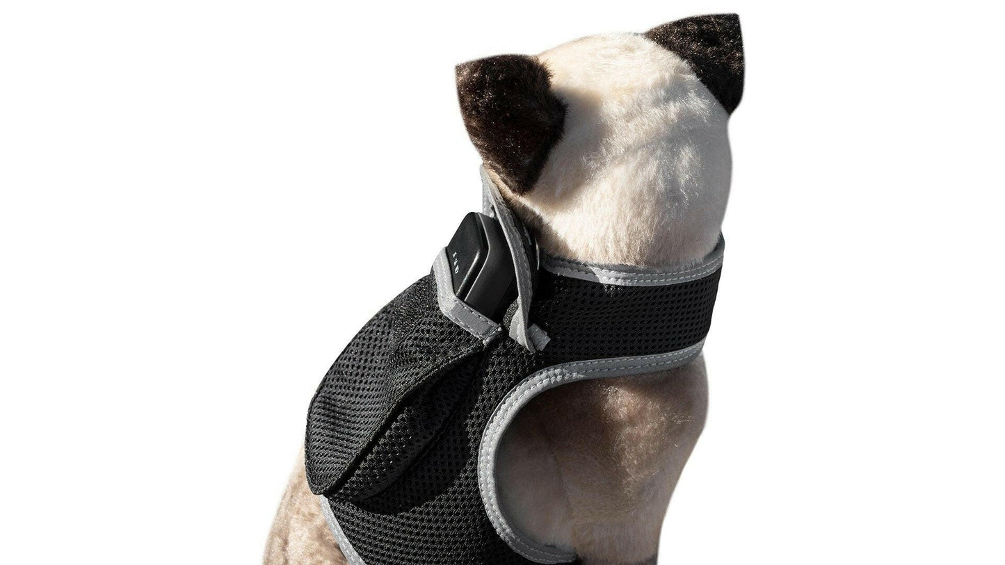 . GPS Pet Tracker Harness – Waterproof, Adjustable Size XL - GoTypical