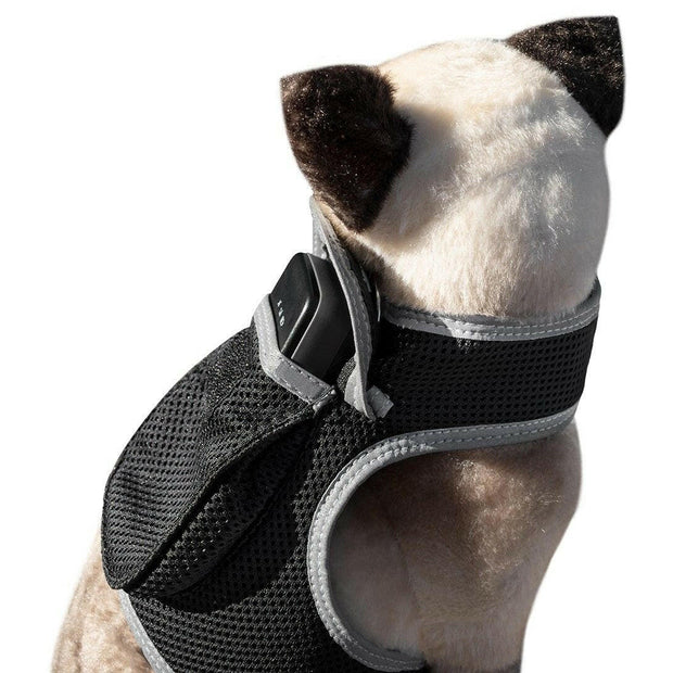 . GPS Pet Tracker Harness – Waterproof, Adjustable Size XL - GoTypical