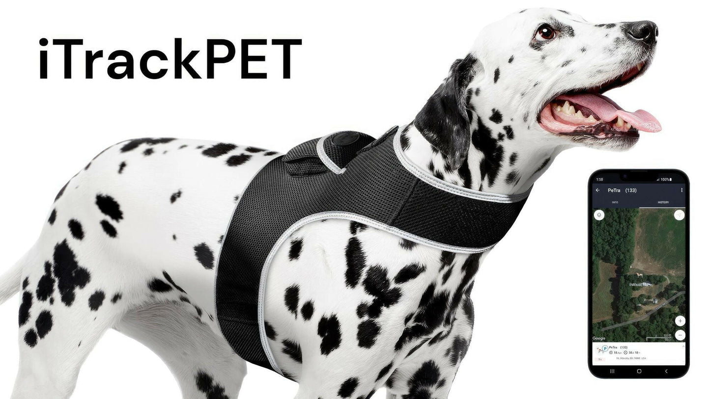 . GPS Pet Tracker Harness – Waterproof, Adjustable Size XL - GoTypical