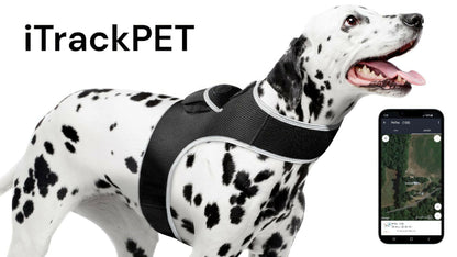 . GPS Pet Tracker Harness – Waterproof, Adjustable Size XL - GoTypical
