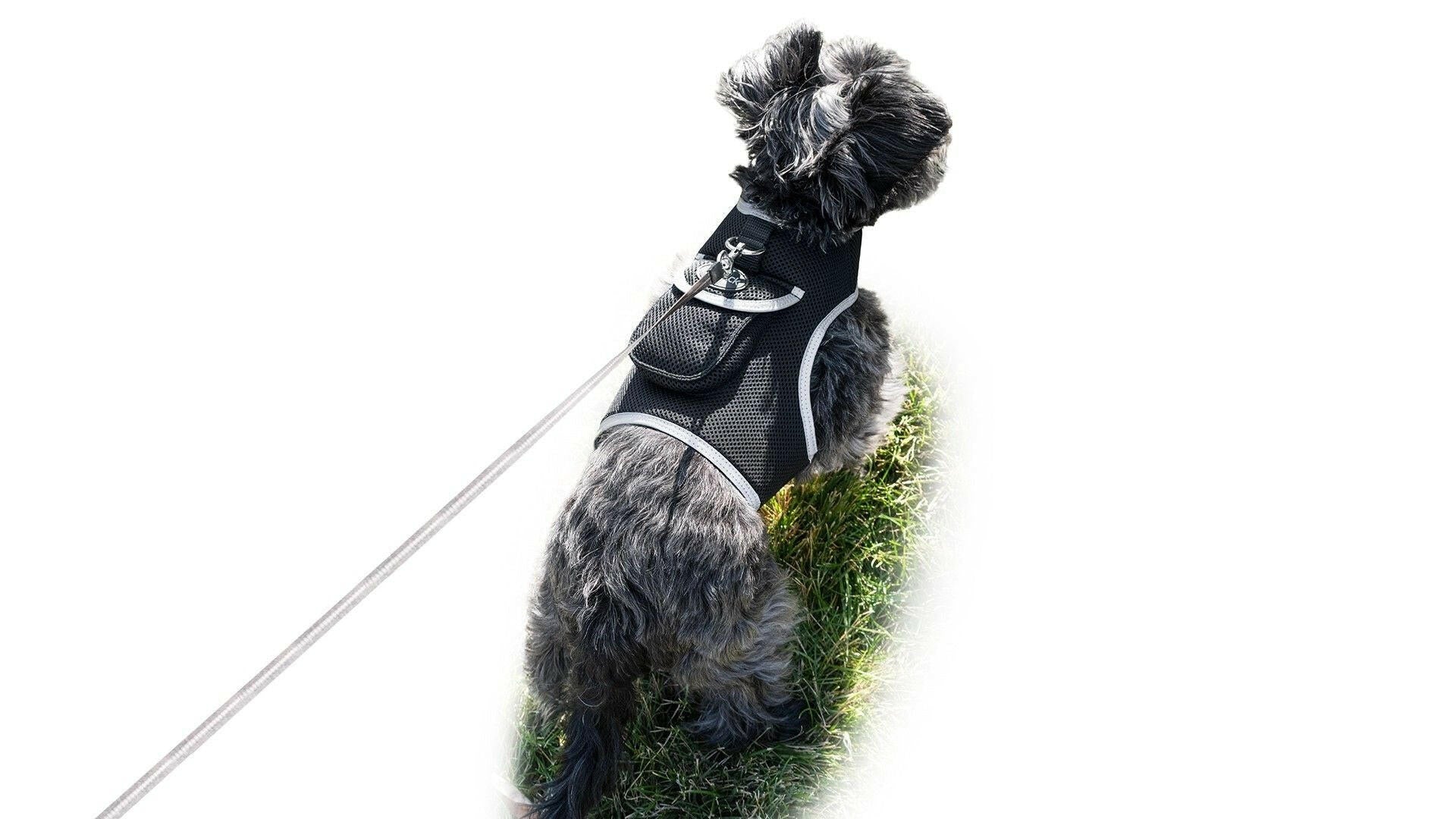 . GPS Pet Tracker Harness – Waterproof, Adjustable Size XL - GoTypical