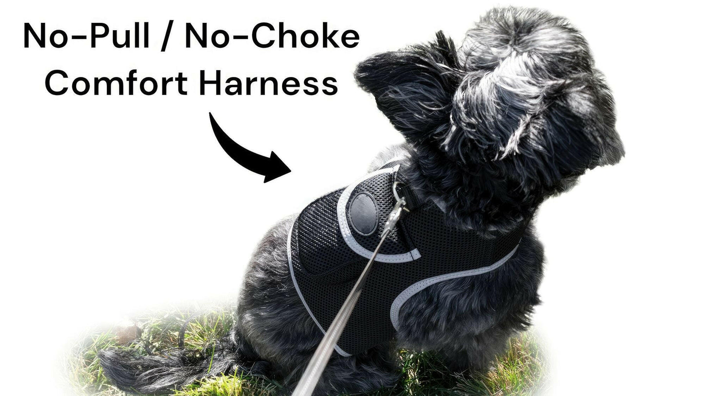 . GPS Pet Tracker Harness – Waterproof, Adjustable Size XL - GoTypical