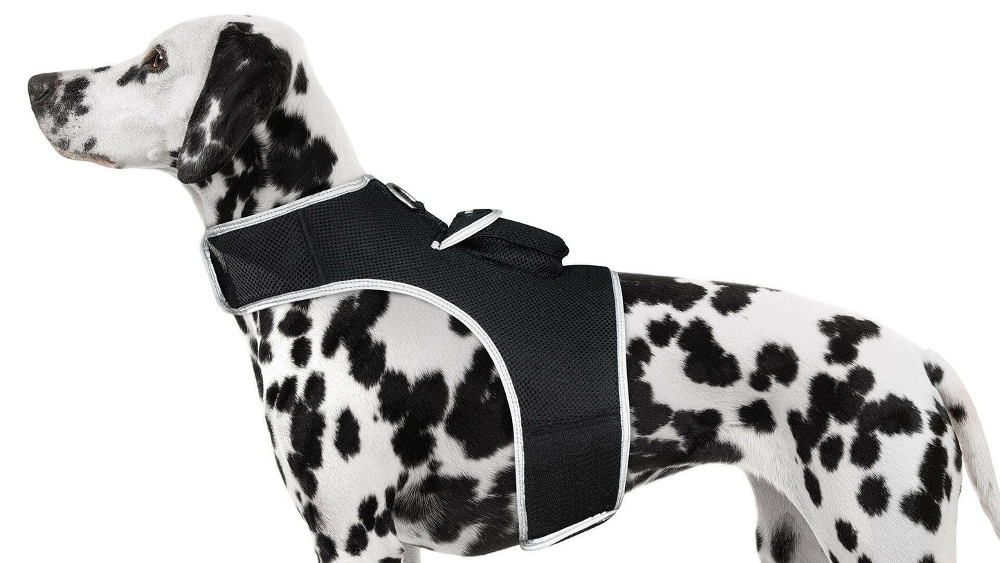 . GPS Pet Tracker Harness – Waterproof, Adjustable Size XL - GoTypical