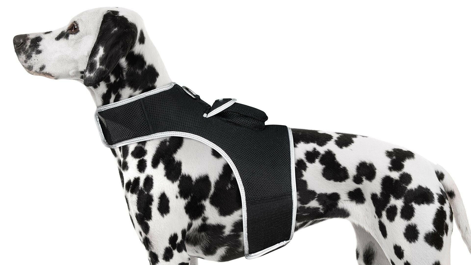 . GPS Pet Tracker Harness – Waterproof, Adjustable Size XL - GoTypical