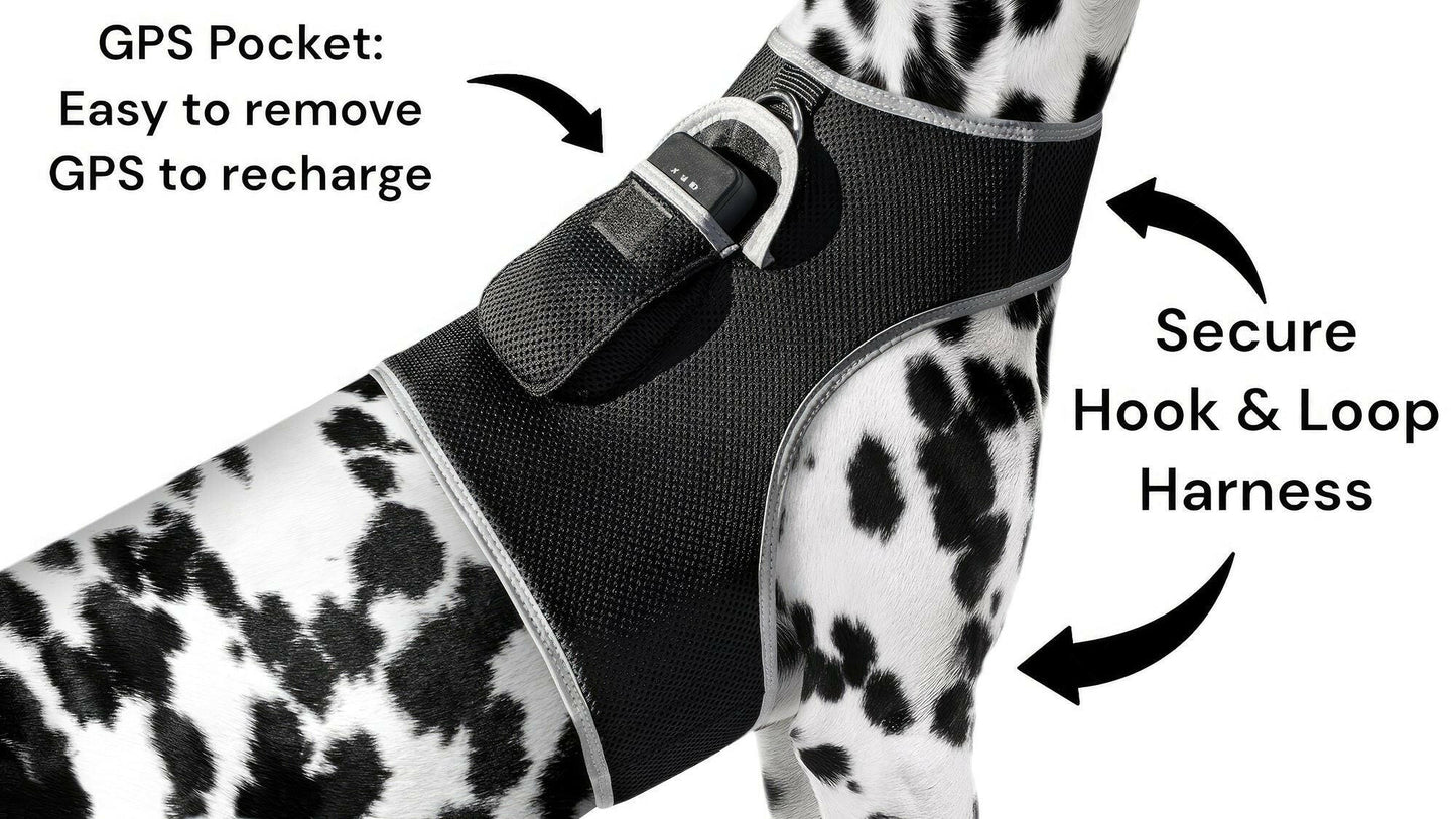. GPS Pet Tracker Harness – Waterproof, Adjustable Size XL - GoTypical