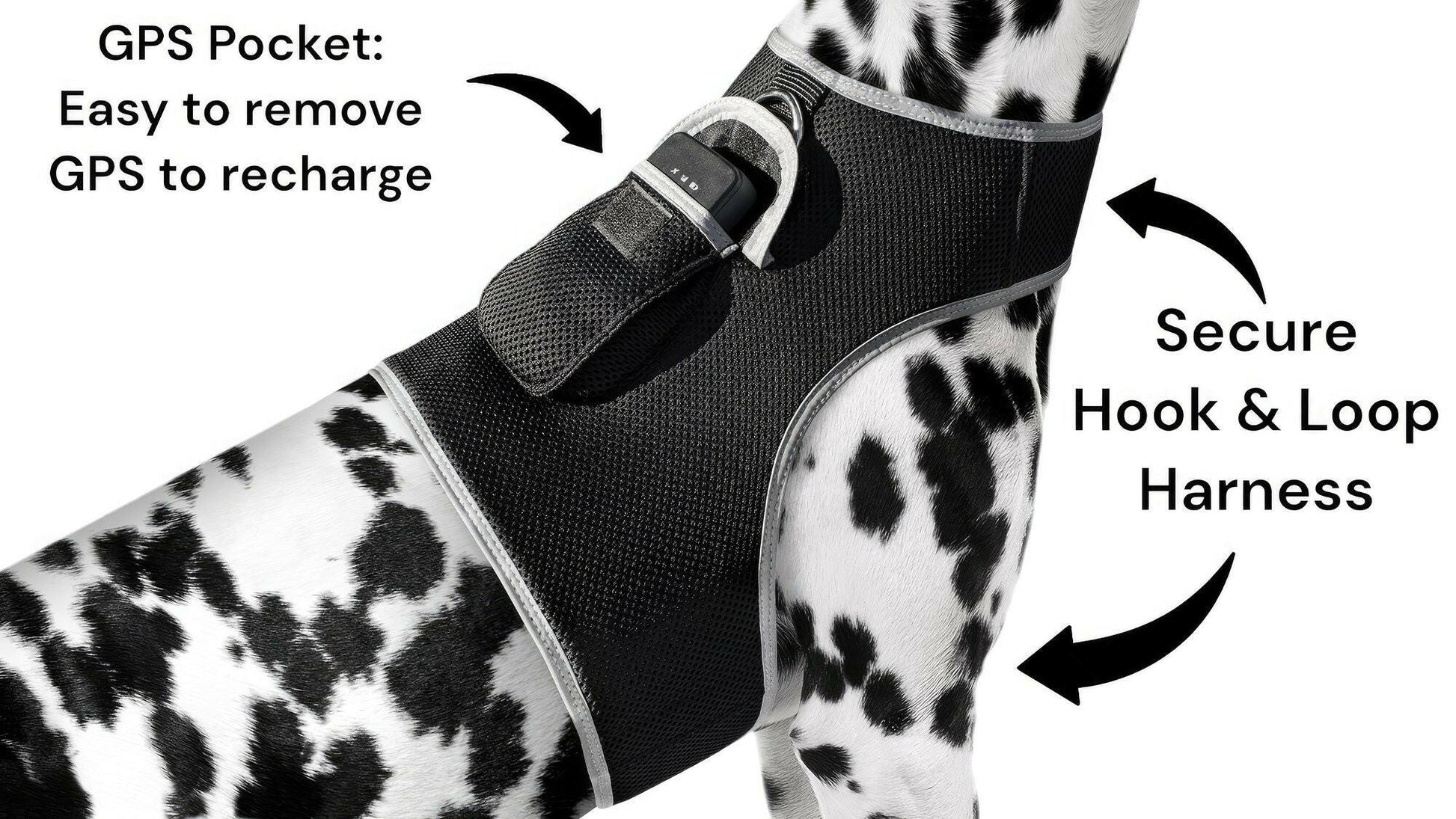 . GPS Pet Tracker Harness – Waterproof, Adjustable Size XL - GoTypical