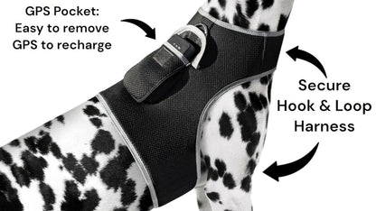 . GPS Pet Tracker Harness – Waterproof, Adjustable Size XL - GoTypical