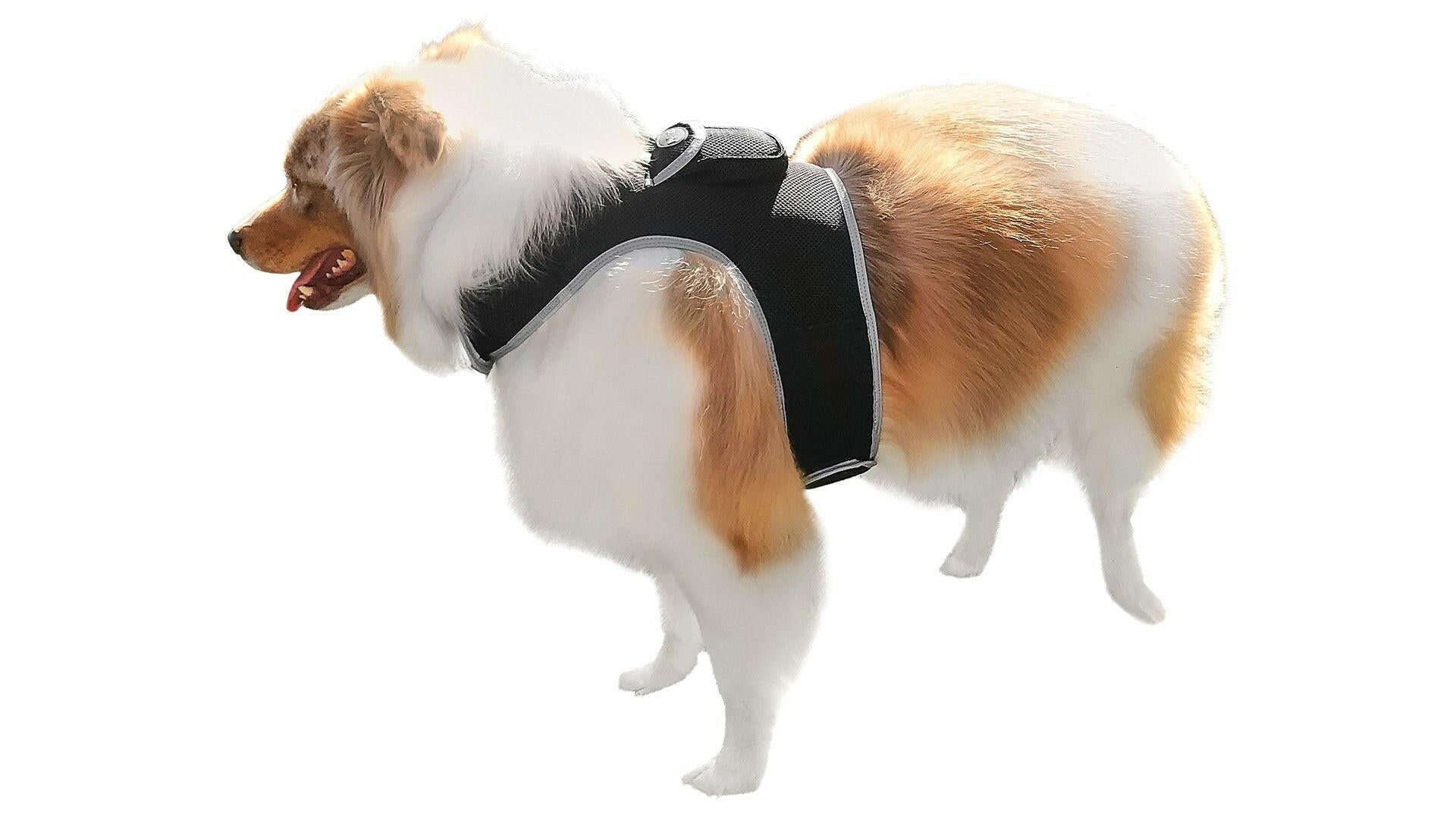 . GPS Pet Tracker Harness – Waterproof, Adjustable Size XL - GoTypical