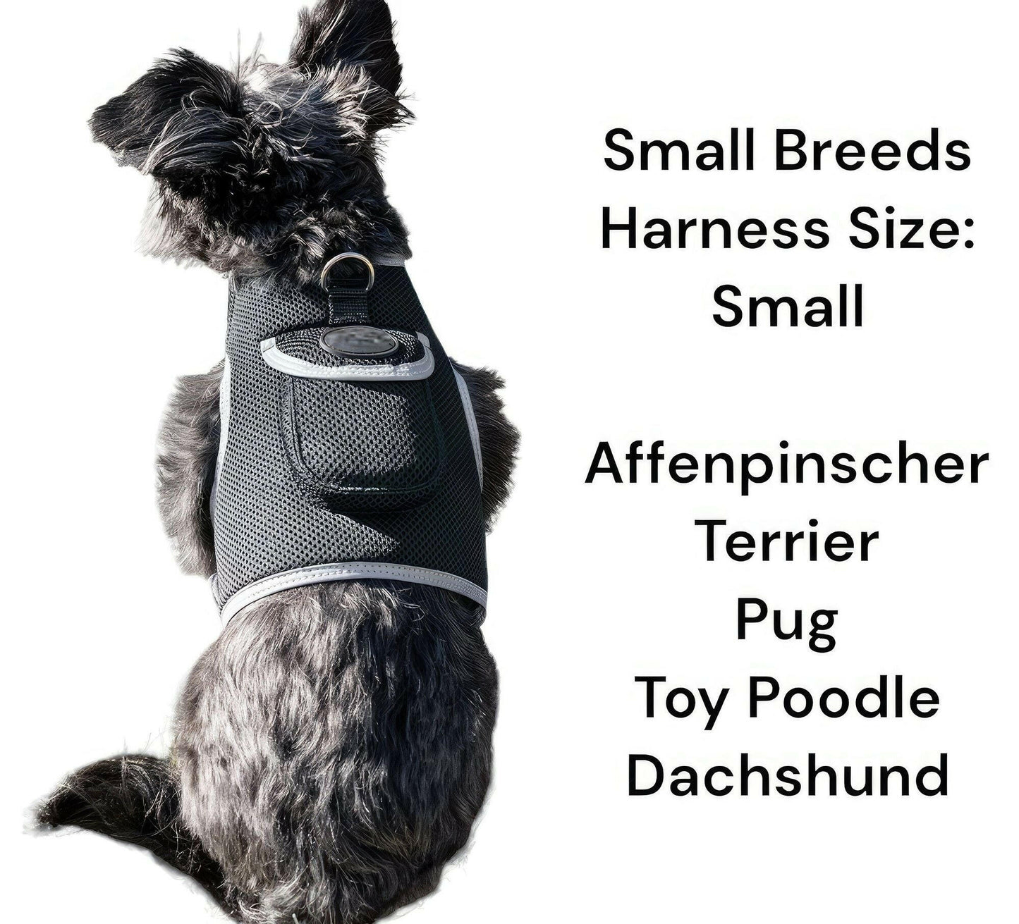 . GPS Pet Tracker Harness – Waterproof, Adjustable Size XL - GoTypical