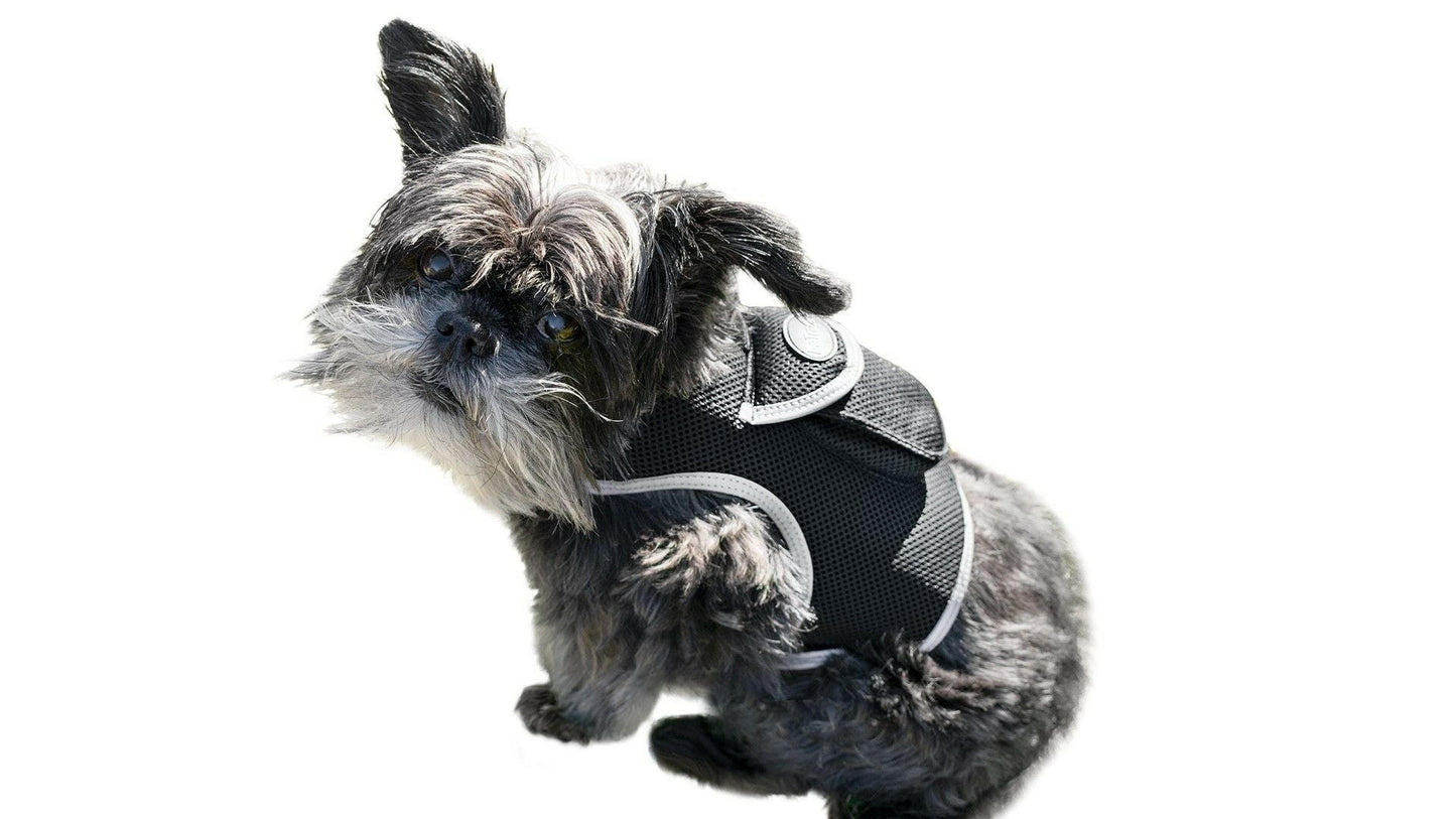 GPS Pet Transmitter Waterproof Mini Tracker Size XS – . - GoTypical