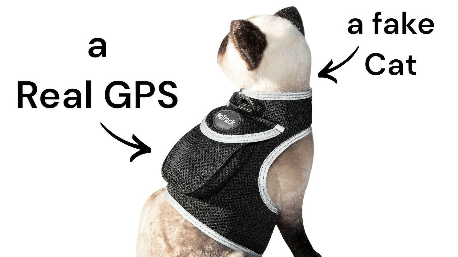 GPS Pet Transmitter Waterproof Mini Tracker Size XS – . - GoTypical