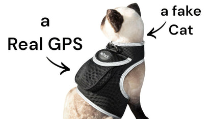 GPS Pet Transmitter Waterproof Mini Tracker Size XS – . - GoTypical