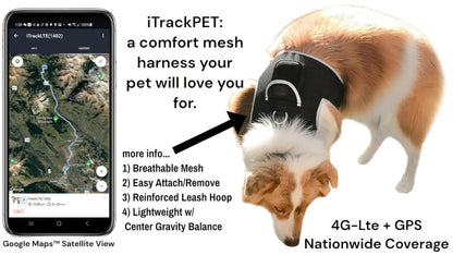 . GPS Pet Transmitter – Waterproof XXL Size for Giant Dogs - GoTypical
