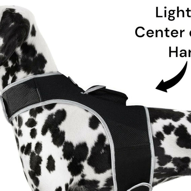 . GPS Pet Transmitter – Waterproof XXL Size for Giant Dogs - GoTypical