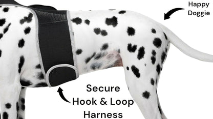 . GPS Pet Transmitter – Waterproof XXL Size for Giant Dogs - GoTypical