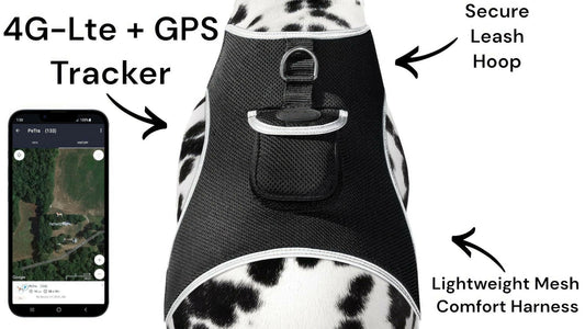 . GPS Pet Transmitter – Waterproof XXL Size for Giant Dogs - GoTypical