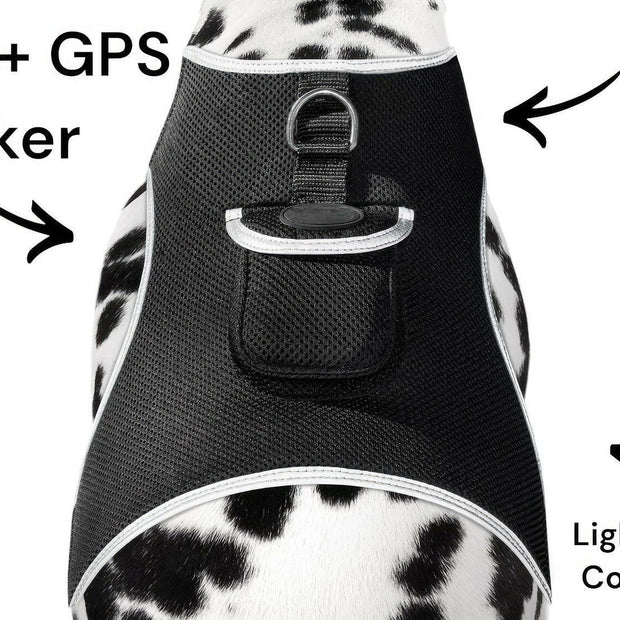 . GPS Pet Transmitter – Waterproof XXL Size for Giant Dogs - GoTypical